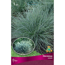 ������ ������ �������� �����   ����