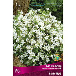 ������ ������ ����������� ���������������� ���� ���   ����