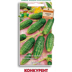 ������ ������ ������ ���������   ����