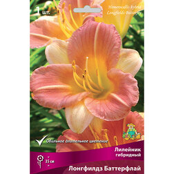 ������ ������ �������� ��������� ��������� ����������   ����