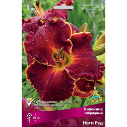 ������ ������ �������� ��������� ���� ���   ����