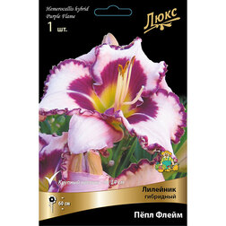 ������ ������ �������� ��������� ϸ�� �����   ����