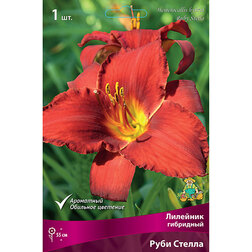 ������ ������ �������� ��������� ���� ������   ����