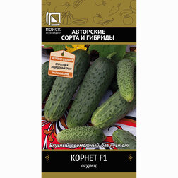 ������ ������ ������ ������ F1   ����