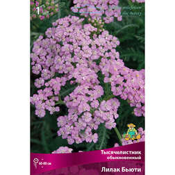 ������ ������ ������������� ������������ ����� �����   ����