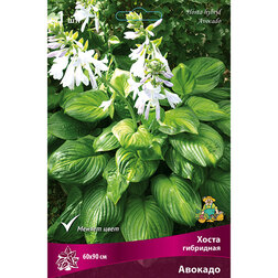 ������ ������ ����� ��������� �������   ����