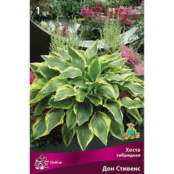 ������ ������ ����� ��������� ��� �������   ����