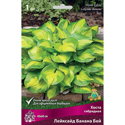 ������ ������ ����� ��������� �������� ������ ���   ����