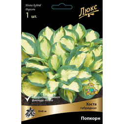 ������ ������ ����� ��������� �������   ����