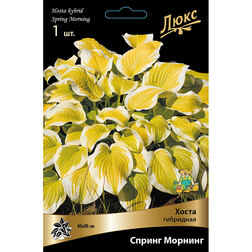 ������ ������ ����� ��������� ������ �������   ����