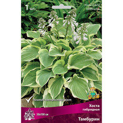 ������ ������ ����� ��������� ��������   ����