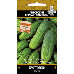 ������ ������ ������ ��������   ����