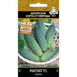 ������ ������ ������ ������ F1   ����