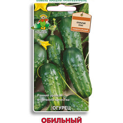 ������ ������ ������ ��������   ����