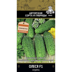 ������ ������ ������ ����� F1 (���� ������. �� ����� 2024 �)   ����