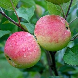 ������ ������ ������ ������   ����