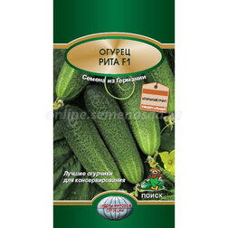 ������ ������ ������ ���� F1   ����