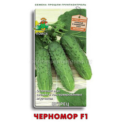 ������ ������ ������ �������� F1   ����