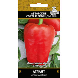 ������ ������ ����� ������� ������   ����