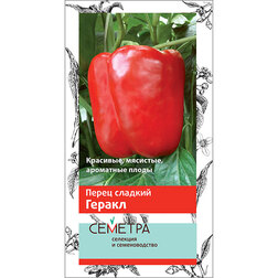 ������ ������ ����� ������� ������ (�������)   ����