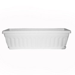 ������ ������ ���� ��������� � �������� (�����)   ����