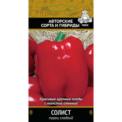 ������ ������ ����� ������� ������   ����