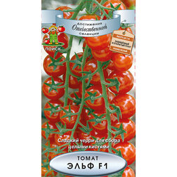 ������ ������ ����� ���� F1   ����