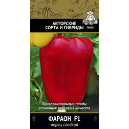 ������ ������ ����� ������� ������   ����