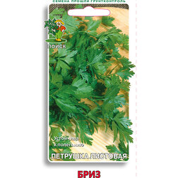 ������ ������ �������� ����   ����