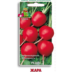 ������ ������ ������ ������ ����   ����