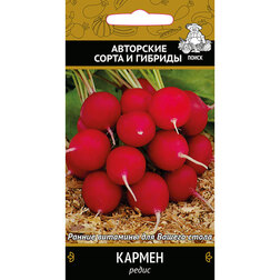 ������ ������ ����� ������   ����