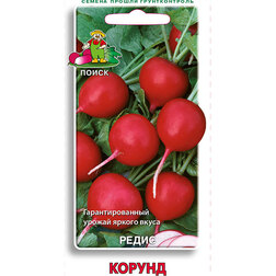 ������ ������ ����� ������   ����