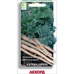 ������ ������ ������ (����) ������   ����