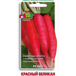 ������ ������ ����� ������� �������   ����