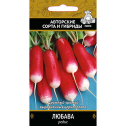 ������ ������ ����� ������   ����