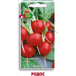 ������ ������ ����� �����   ����