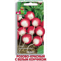 ������ ������ ����� ������-������� � ����� ��������   ����