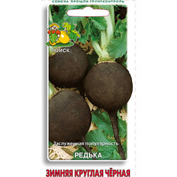 ������ ������ ������ ������ ������� ������   ����