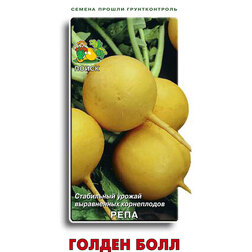 ������ ������ ���� ������ ����   ����