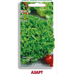 ������ ������ ����� �����   ����