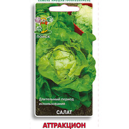 ������ ������ ����� ����������   ����