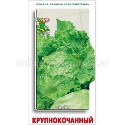 ������ ������ ����� ��������������   ����