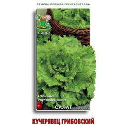 ������ ������ ������ ������ ��������� ����������   ����