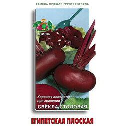 ������ ������ ������ �������� ���������� �������   ����