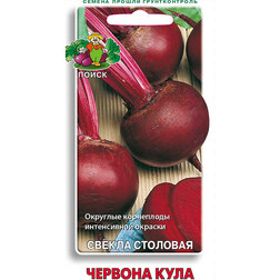 ������ ������ ������ �������� ������� ����   ����