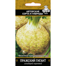 ������ ������ ��������� �������� �������� ������   ����