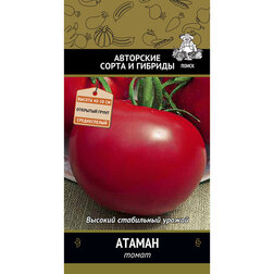 ������ ������ ����� ������   ����