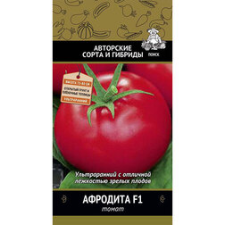 ������ ������ ����� �������� F1   ����