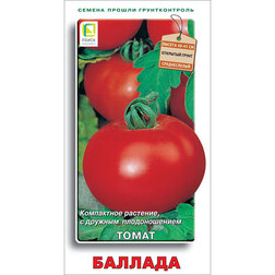 ������ ������ ����� �������   ����