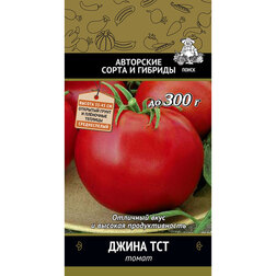 ������ ������ ����� ����� ���   ����